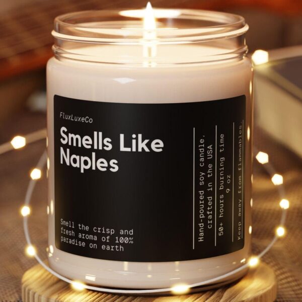 Personalized Smells Like Naples Candle Custom Florida Candle Naples Candle Decoration Gift For Naples Florida Florida Candle Florida Gifts