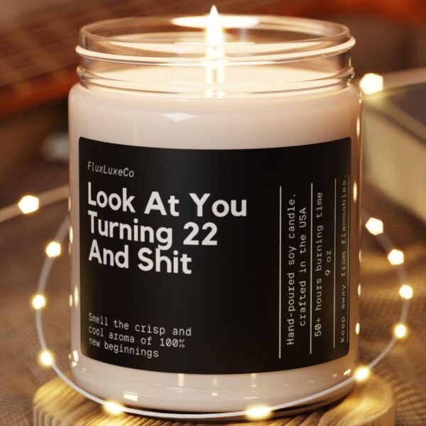 22Nd Birthday Candle Look At You Turning 22 Funny Birthday Gift Custom Birthday Candle 22Nd Birthday Turning 22 Personalized Birthday Candle