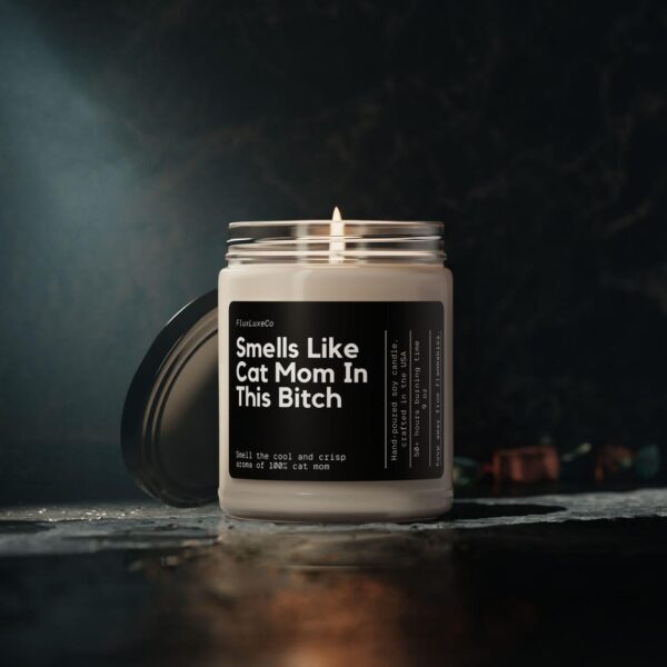 Smells Like Cat Mom In This Bitch Soy Wax Candle, Gift For Cat Mom, Personalized Cat Owner Gift, Cat Adoption, Custom Cat Mom Decoration