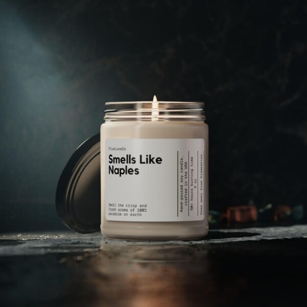 Personalized Smells Like Naples Candle Custom Florida Candle Naples Candle Decoration Gift For Naples Florida Florida Candle Florida Gifts