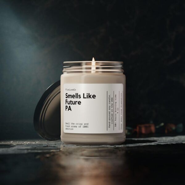 Physician Assistant Candle, Pa Candle Gift, Gift Candle, Personalized Gift Candle, Present For Physician Assistant, Pa Graduate Candle