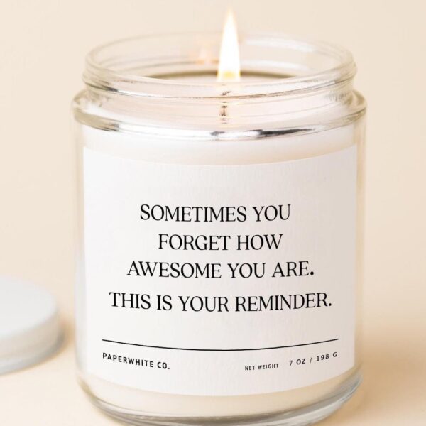 Bulk Christmas Gifts For Coworkers, Appreciation Gift, Thank You Gifts For Family, Teacher, Employee, Team Gift, Best Friend Gift Candle F13